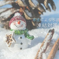 画像236