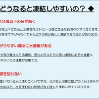 画像240