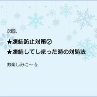 画像241