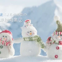 画像244