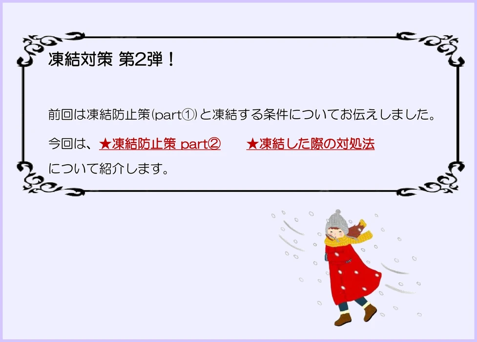 画像245