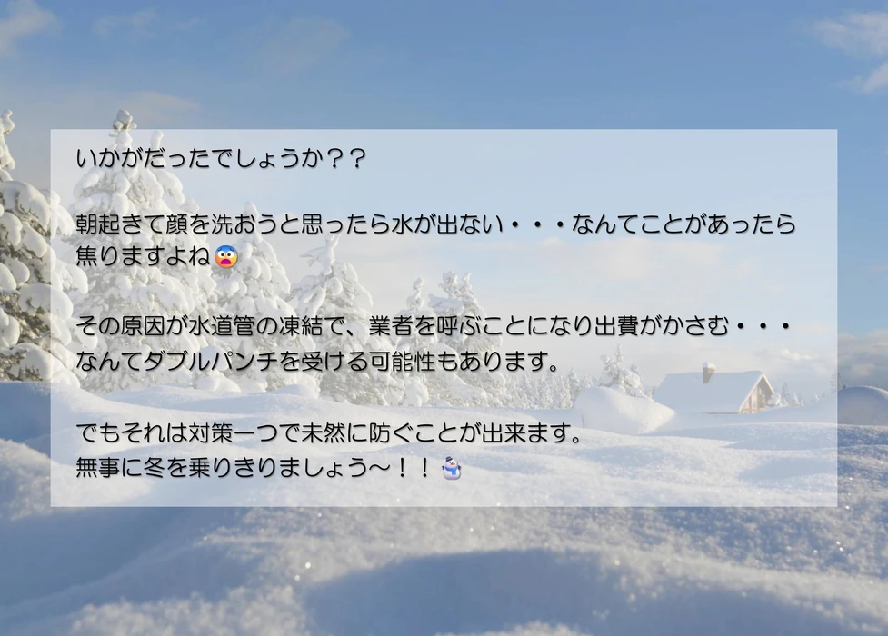 画像249