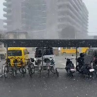 画像251