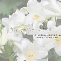 画像286