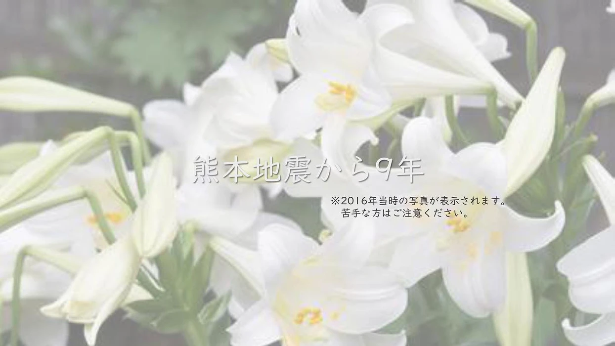 画像286