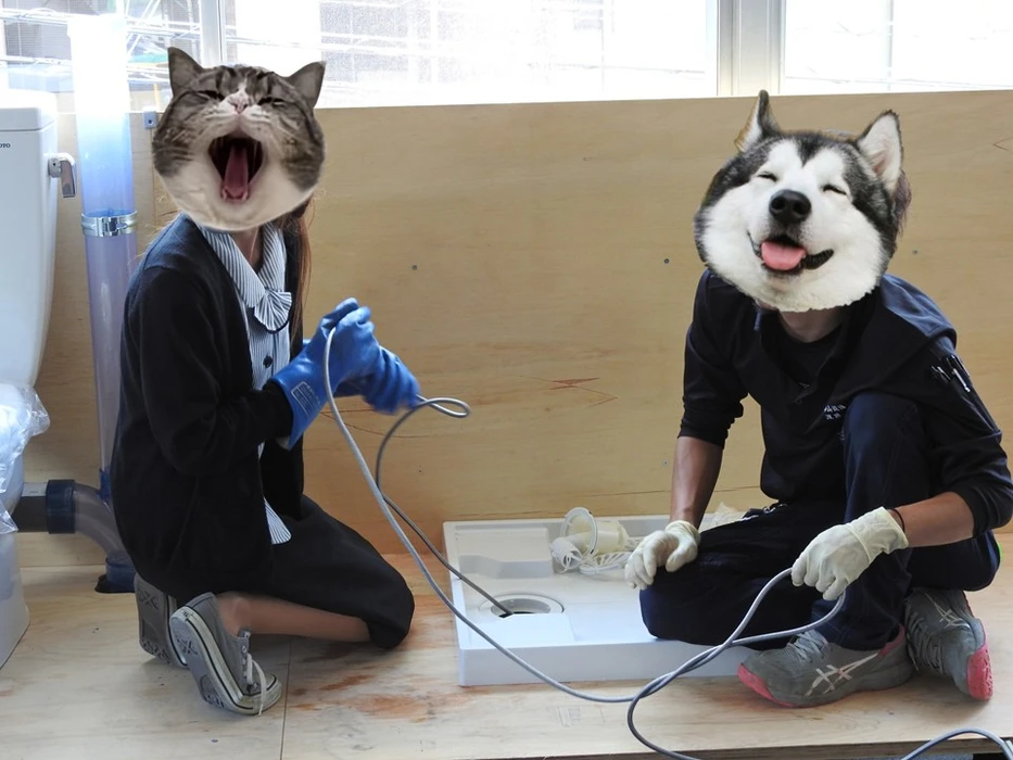 画像351
